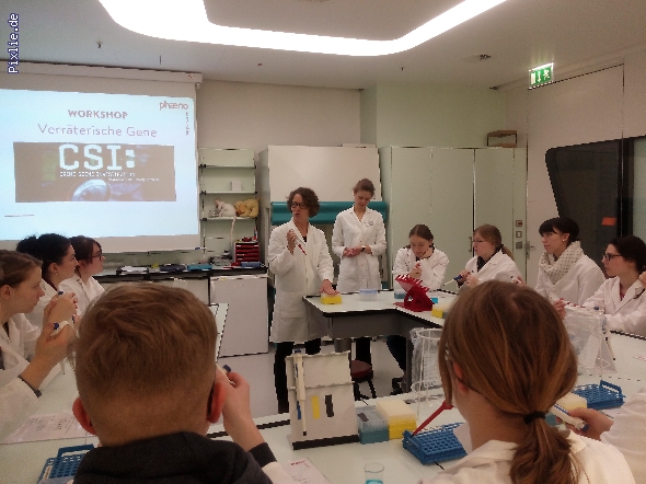 http://www.beruflichesgymnasium.de/pixlie/cache/vs_Phaeno 2017_1 Genlabor. Auf der Suche nach den verräterischen Genen. Foto KALM.jpg